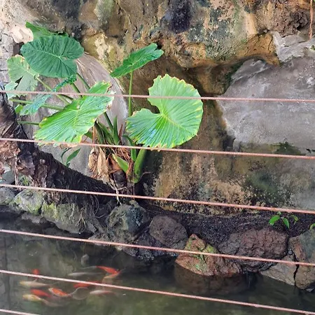 Lejlighed Casa Petri