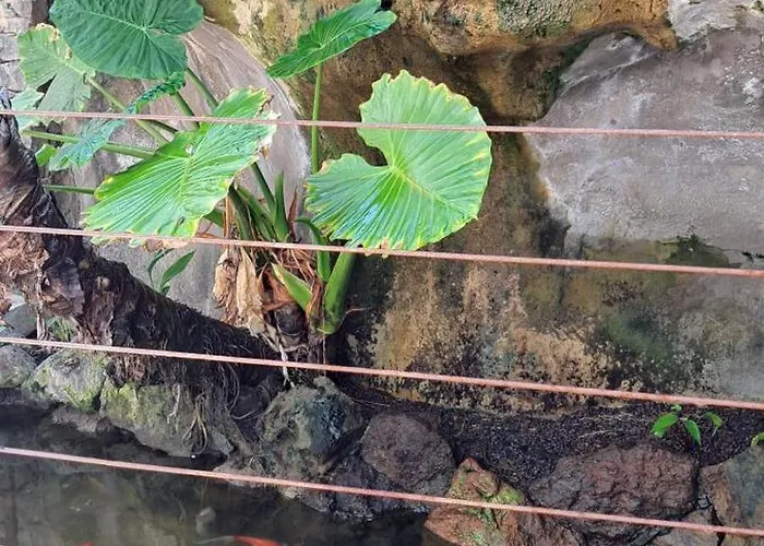 Lägenhet Casa Petri