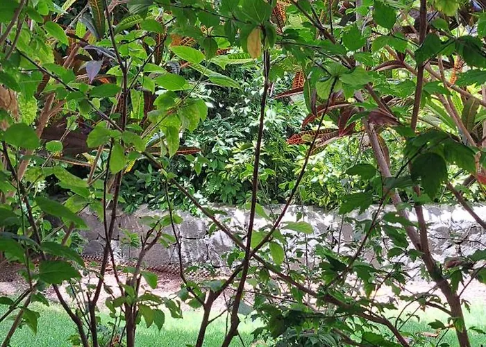 Apartment Casa Petri *