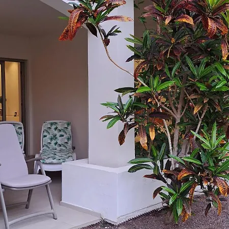 Daire Casa Petri Palm-mar